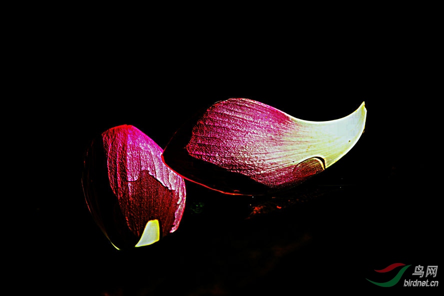 AQ1I6563_����_����.jpg
