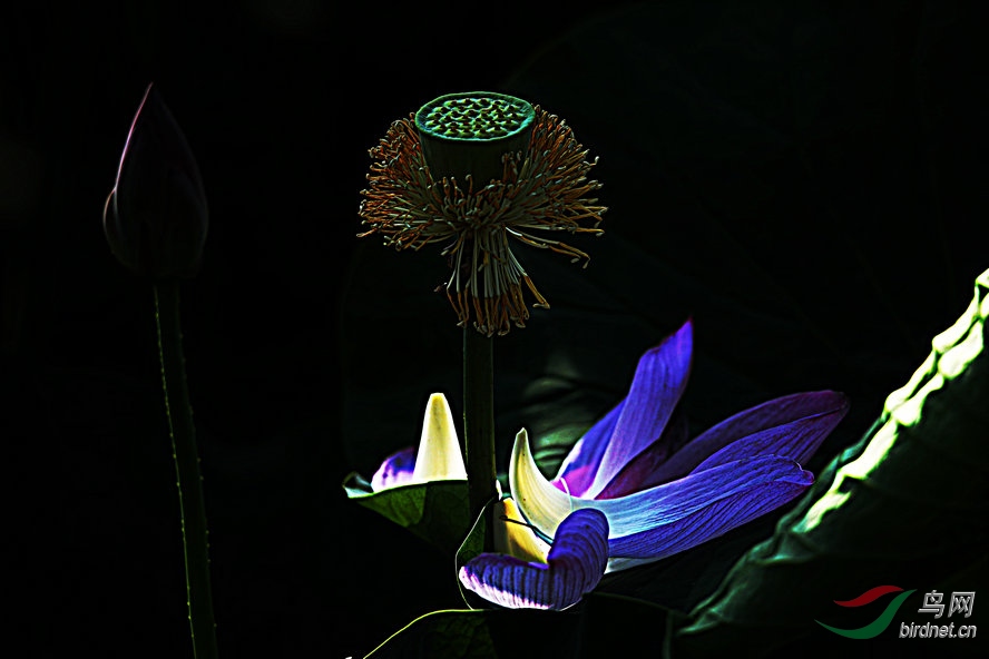AQ1I6629_����_����.jpg