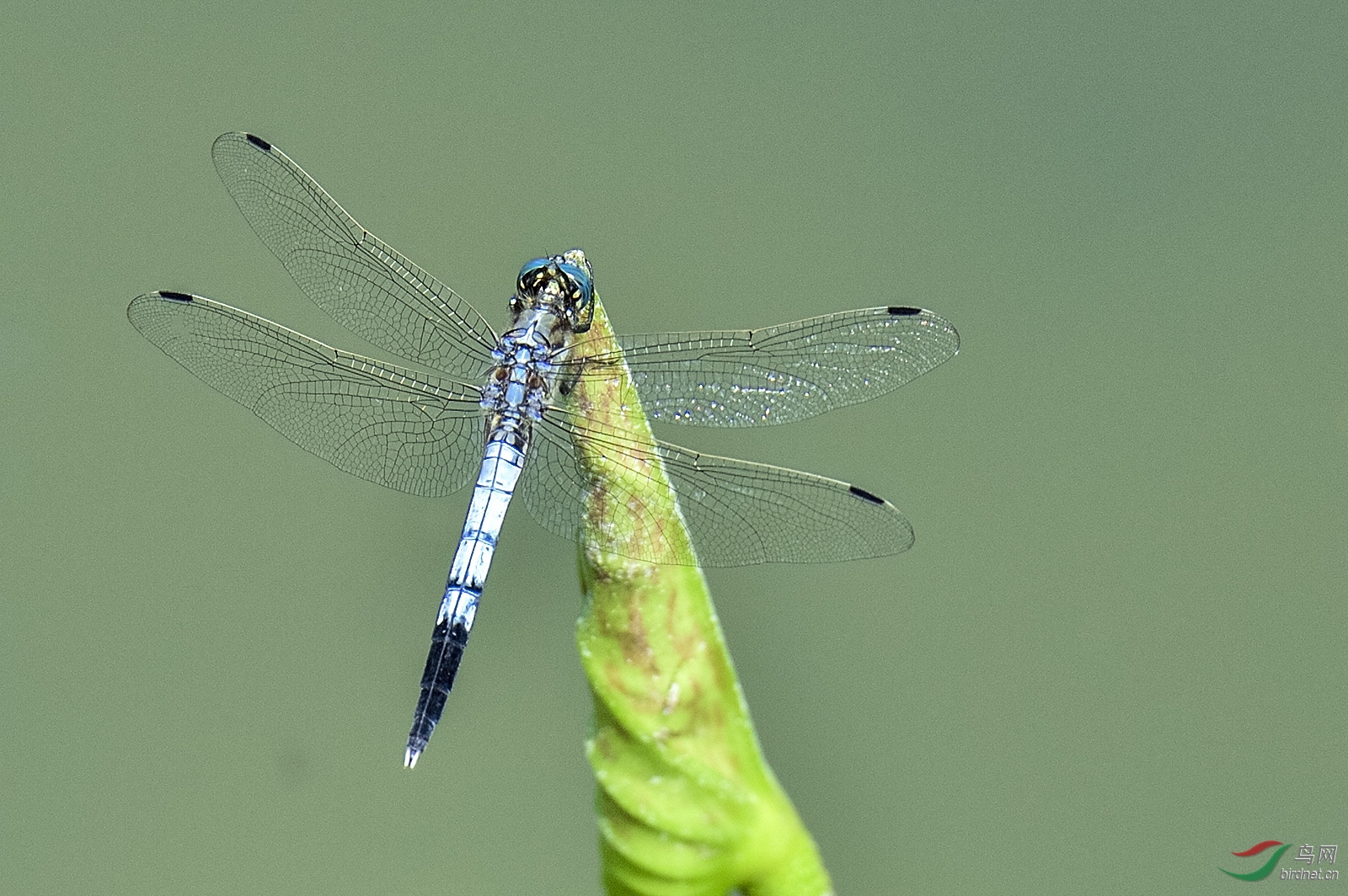 _D4S5314_4857a.jpg