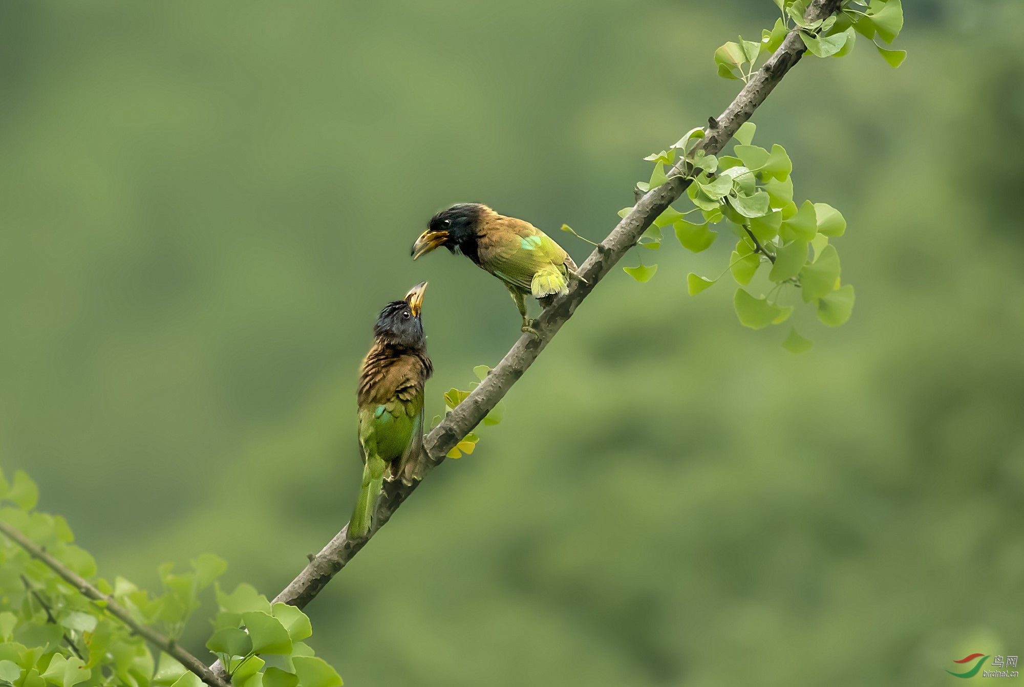 DSC_9395_1_����.jpg