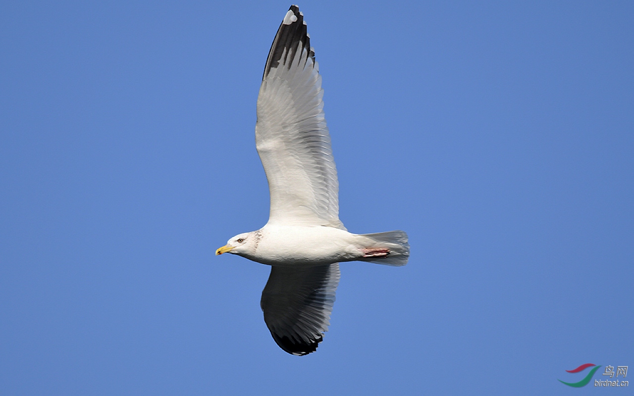 D50_7341.jpg