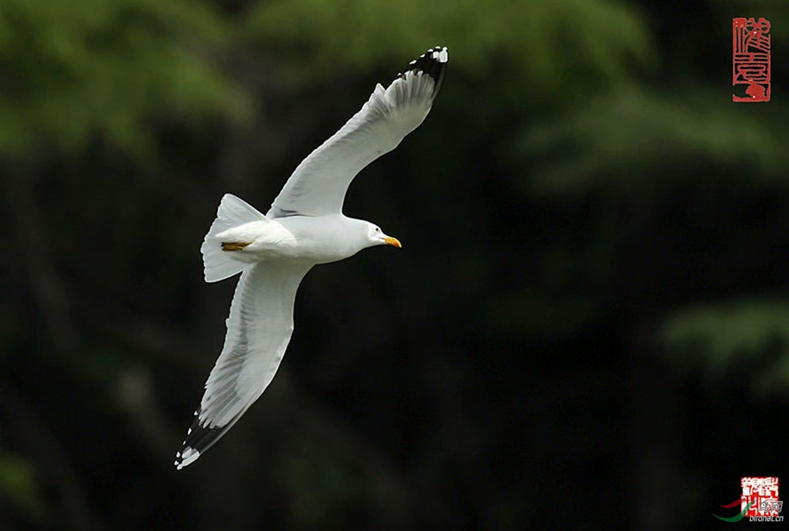 C60EF110-FAA5-44A5-B2BB-CB1270DA9AE8.jpeg