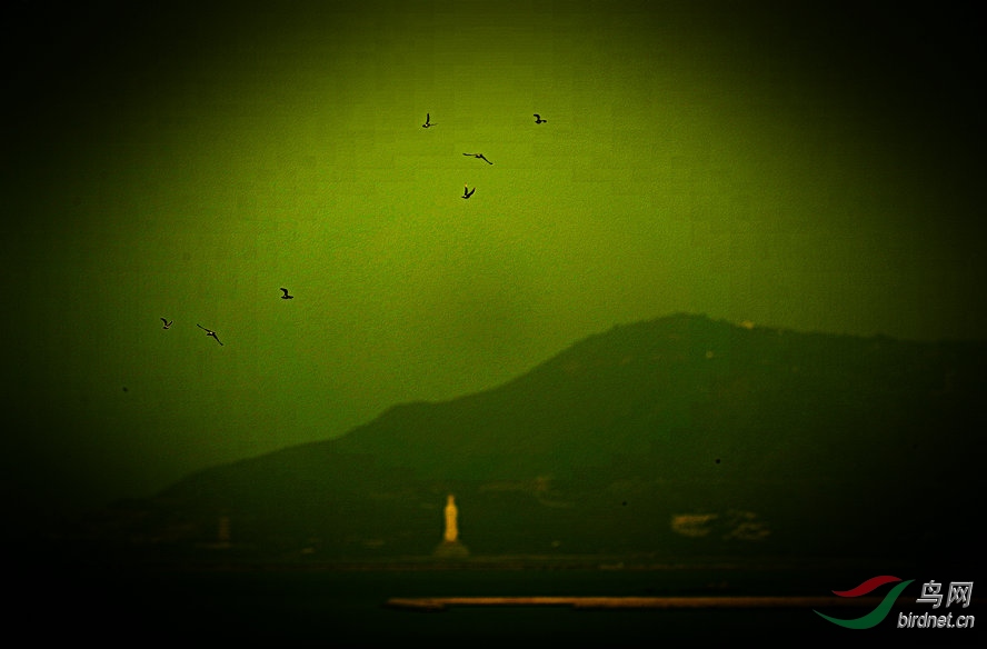 AQ1I7614_����_����.jpg