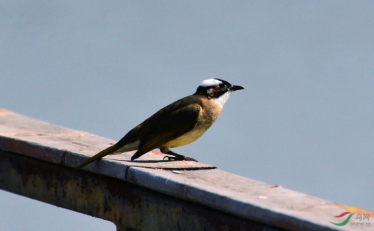 DSC_6818.JPG