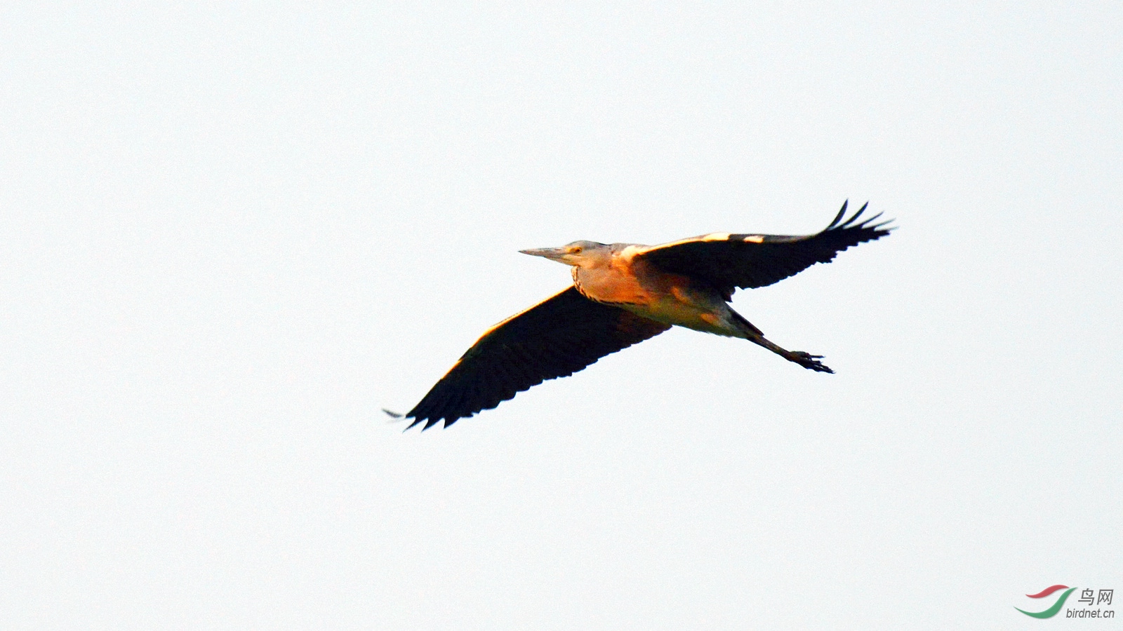 DSC_8646.JPG