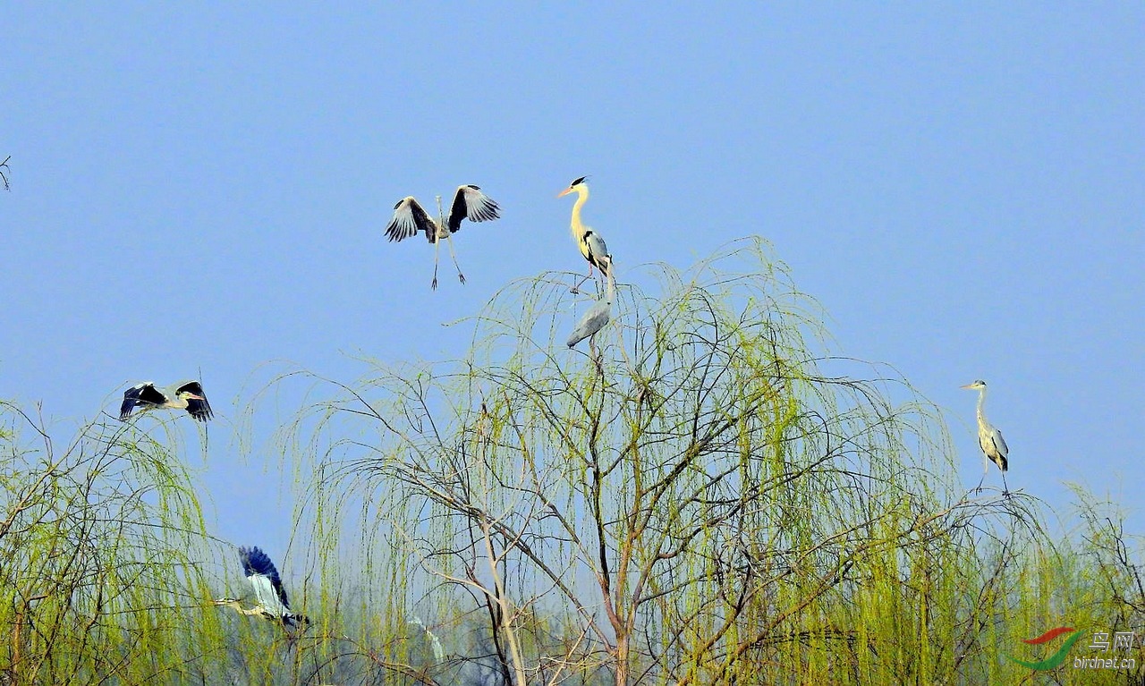 DSCN5523.JPG