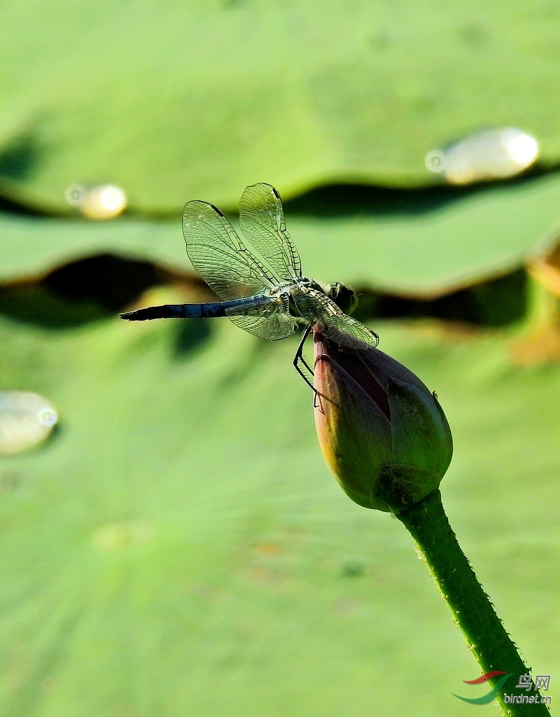 DSCN9228.JPG