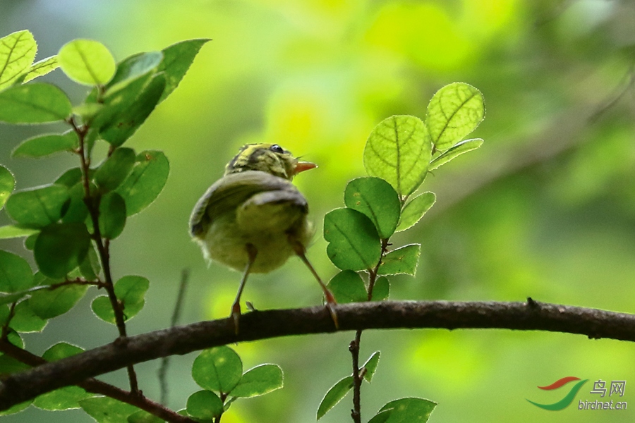 201906303024-1.jpg