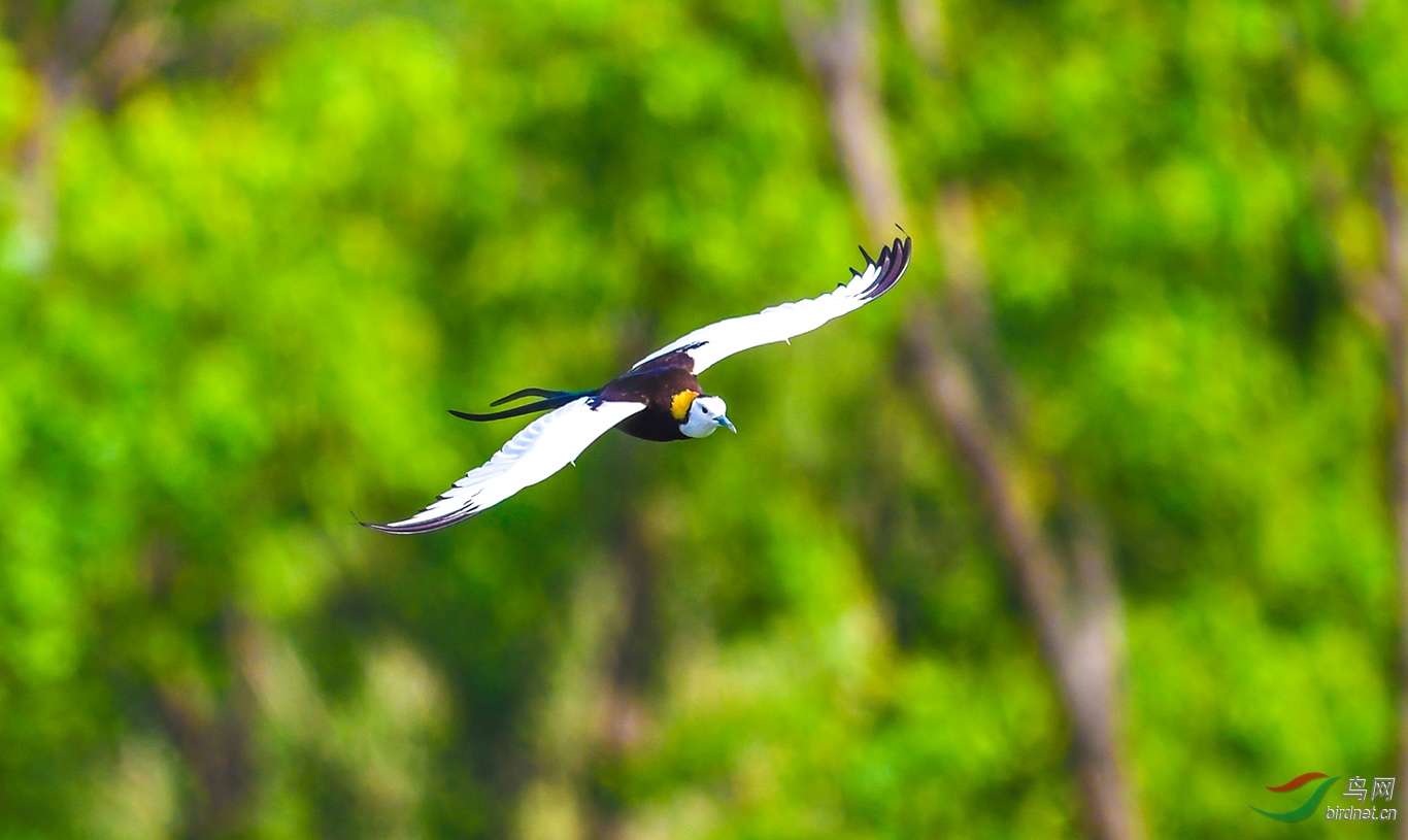 DSC_0179.JPG