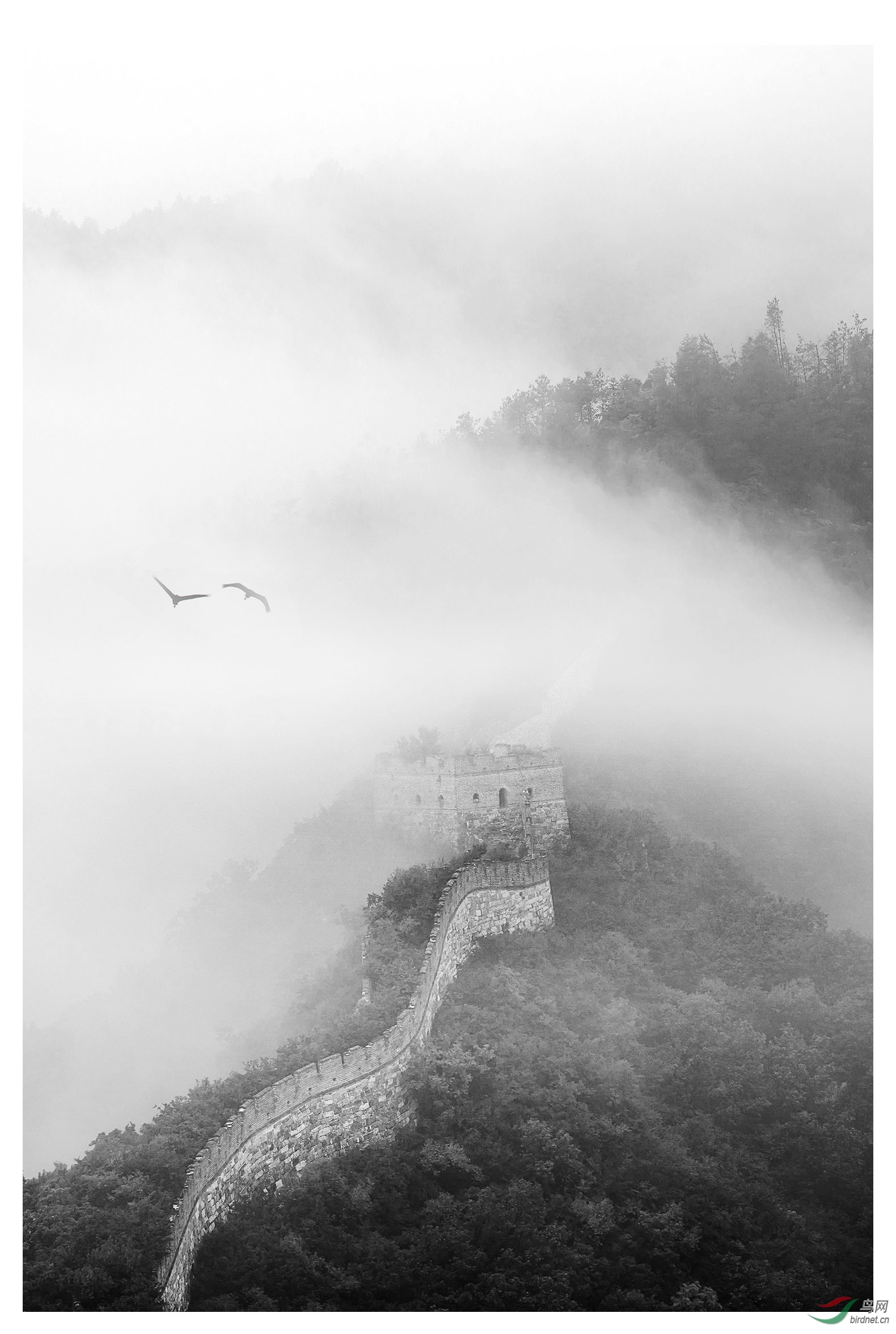 雨后长城祝贺荣获黑白影像首页精华