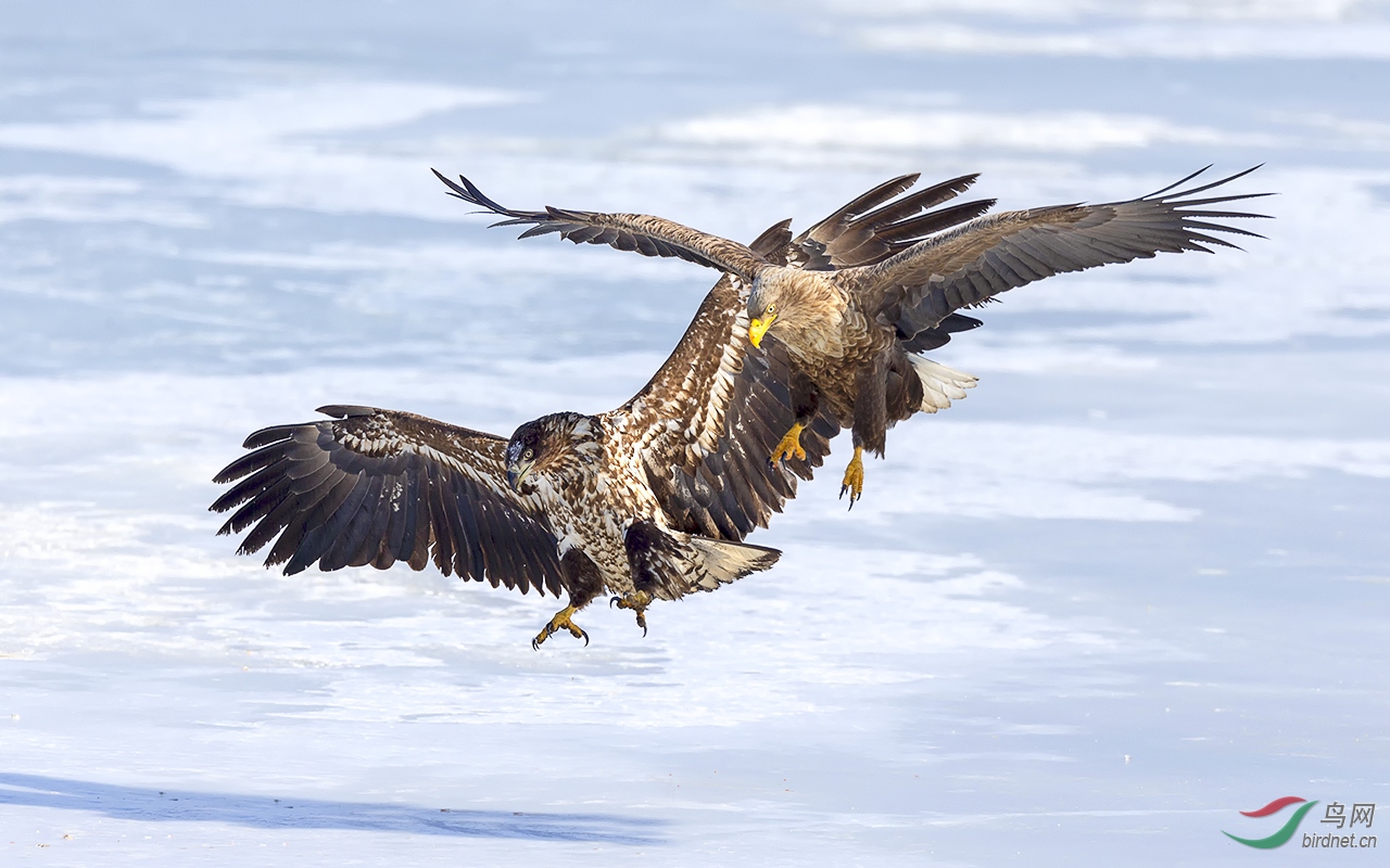 �趯 ������3.jpg