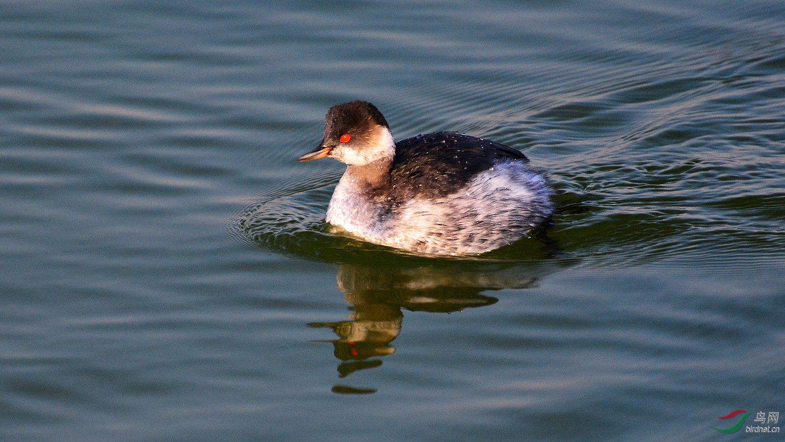 DSC_6331.JPG