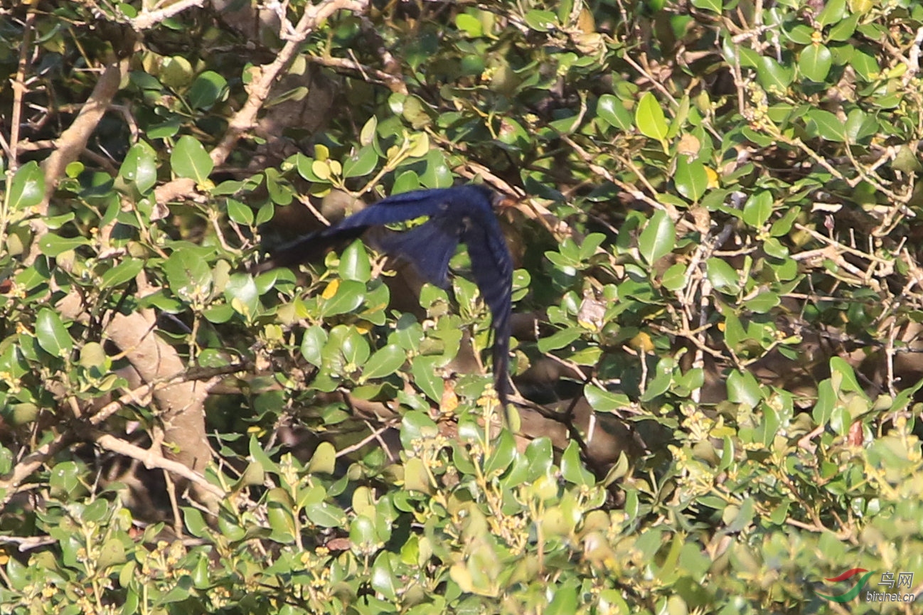 17����ͨ������