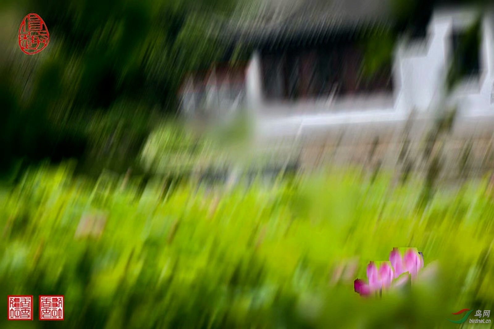 E197514D-0964-4500-935D-0EE6C9C91A6E.jpeg