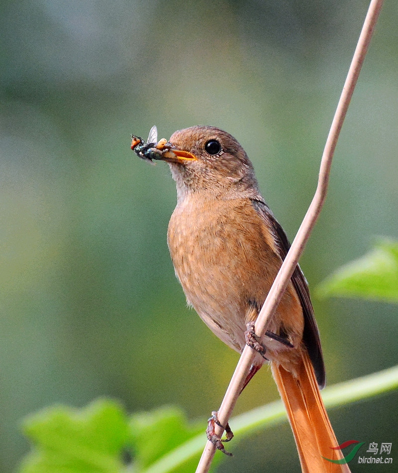 DSC_8187.JPG