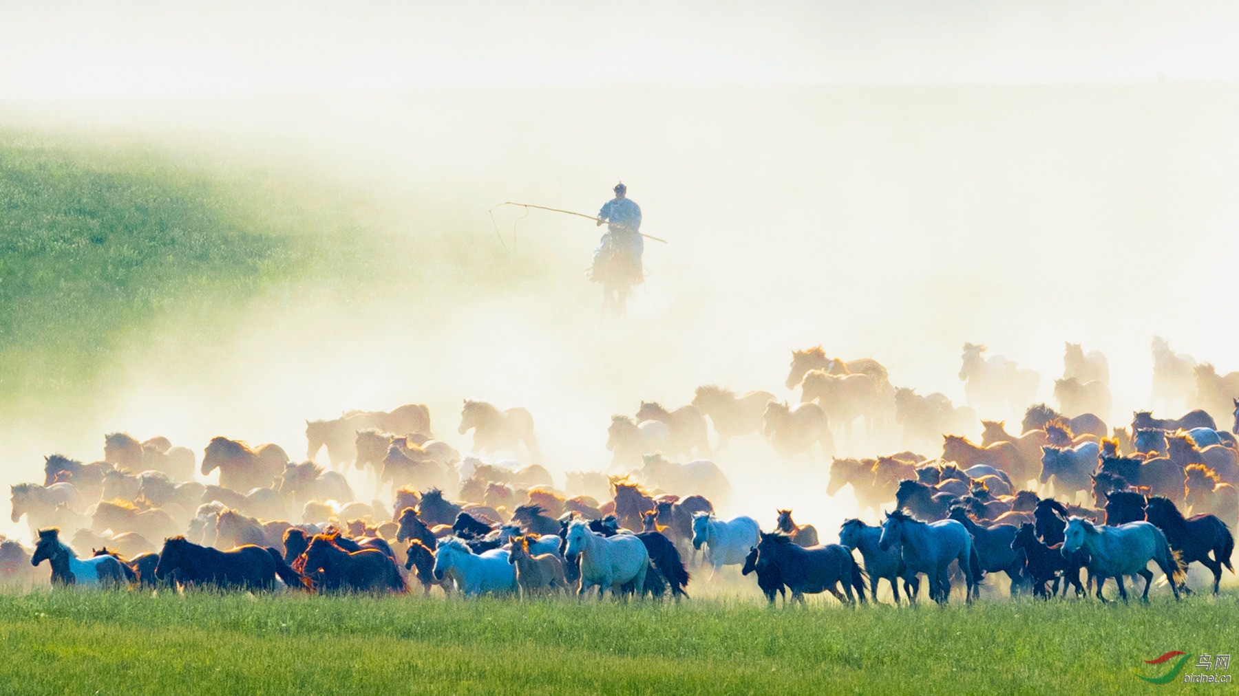 _K8I5893  002_����.jpg