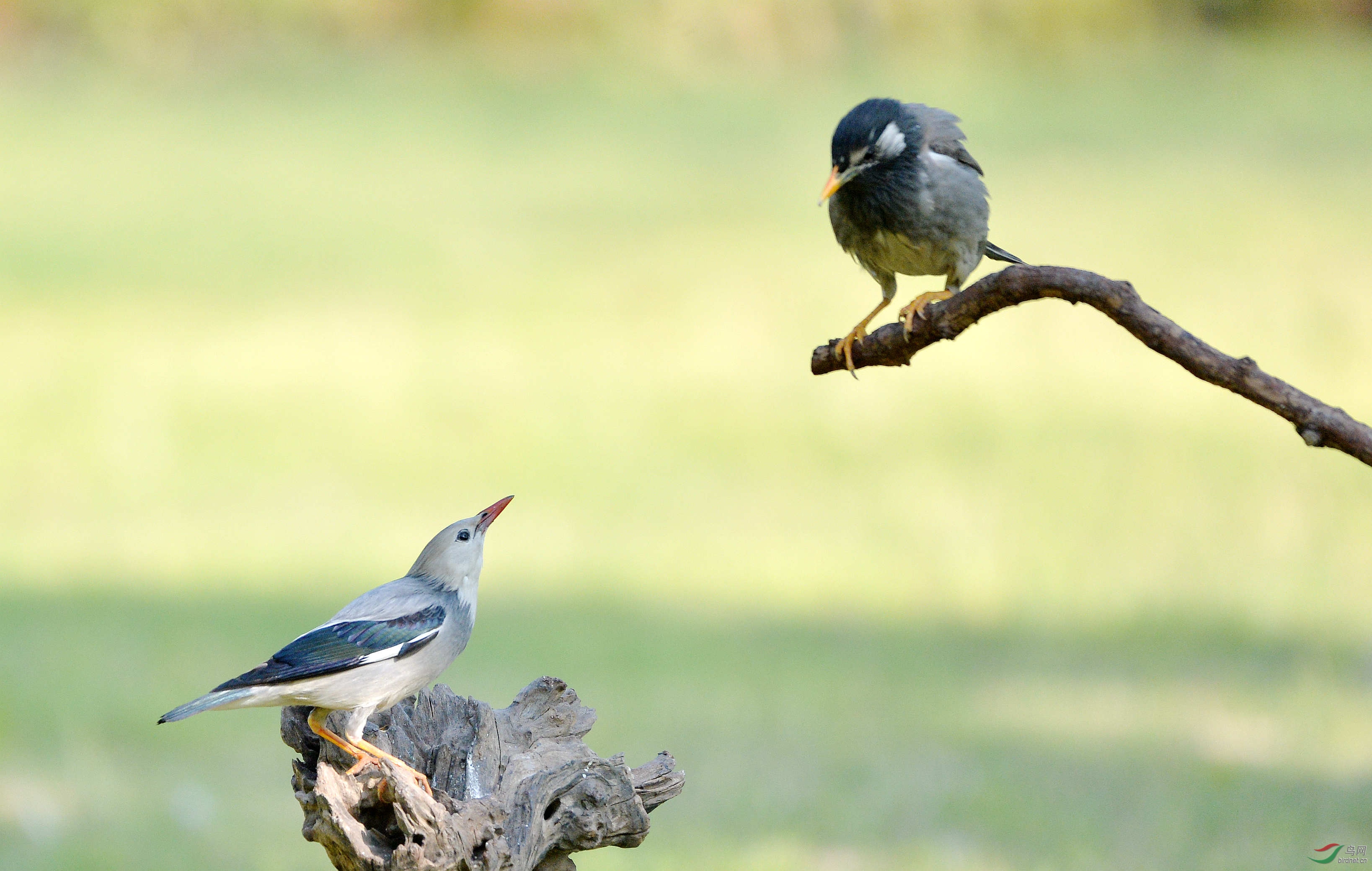 DSC_6060.JPG