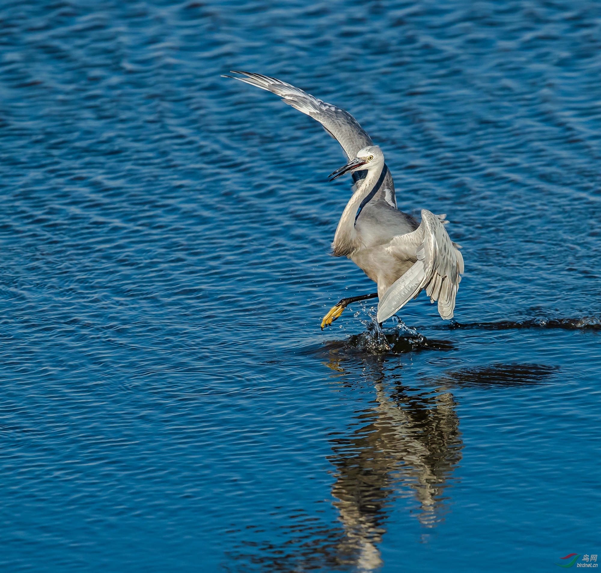  2018��ĻҰ���