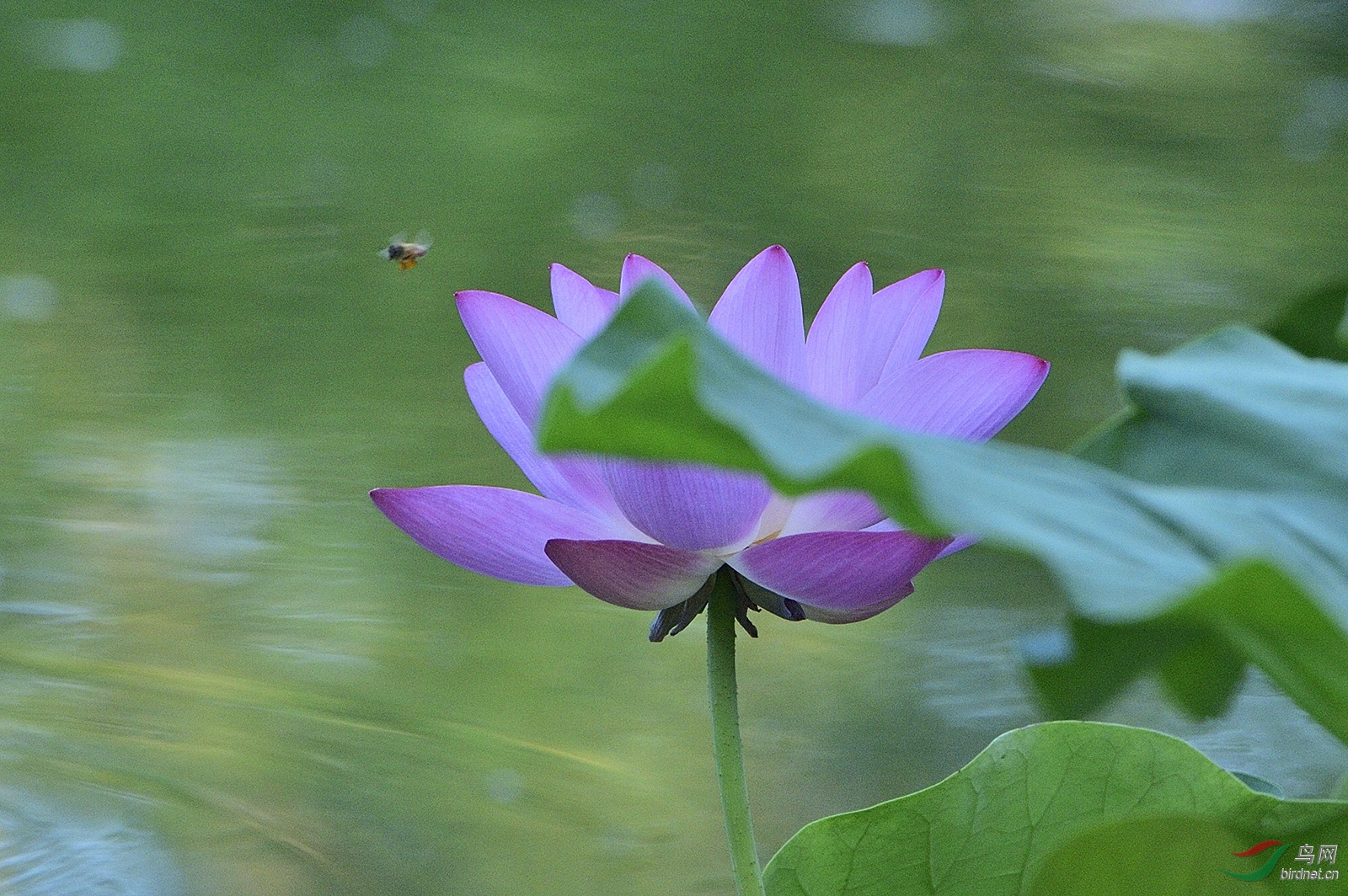 _D4S6689_5767a.jpg