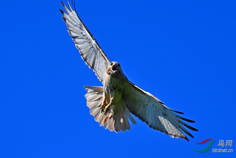 DSC_0633-_����.jpg