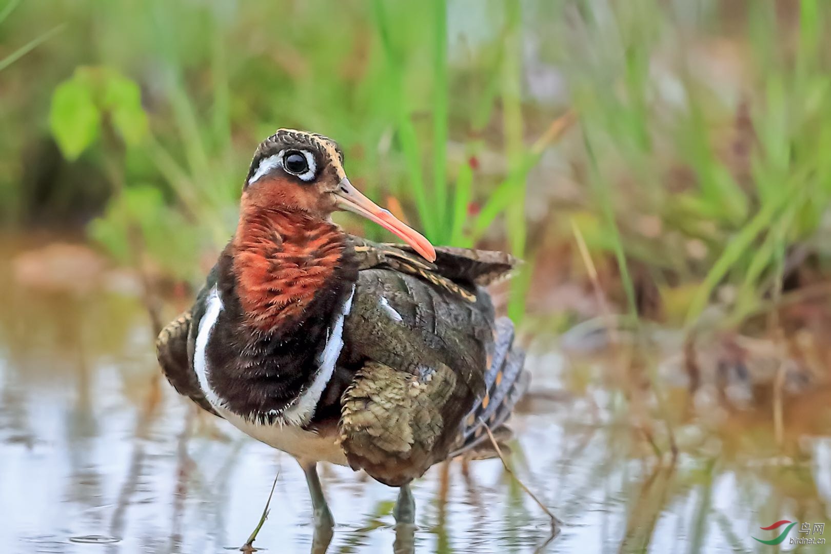 _2019052715245712 (1).jpg