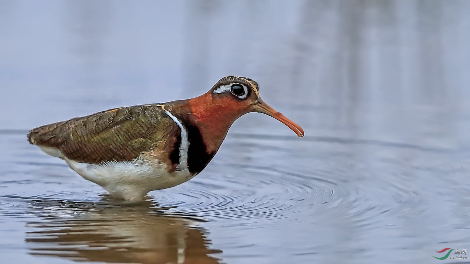 _2019052715245712 (3).jpg