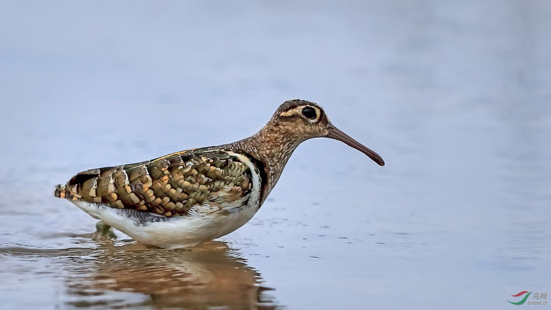 _2019052715245712 (2).jpg