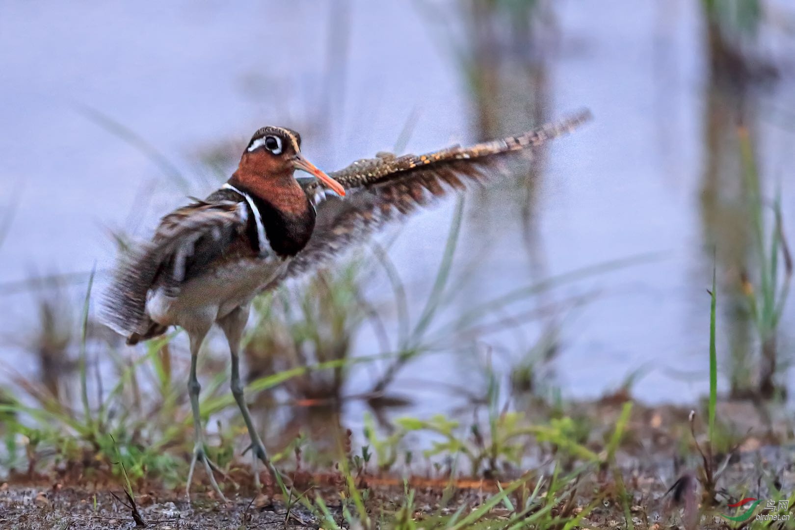 _2019052715245712 (13).jpg