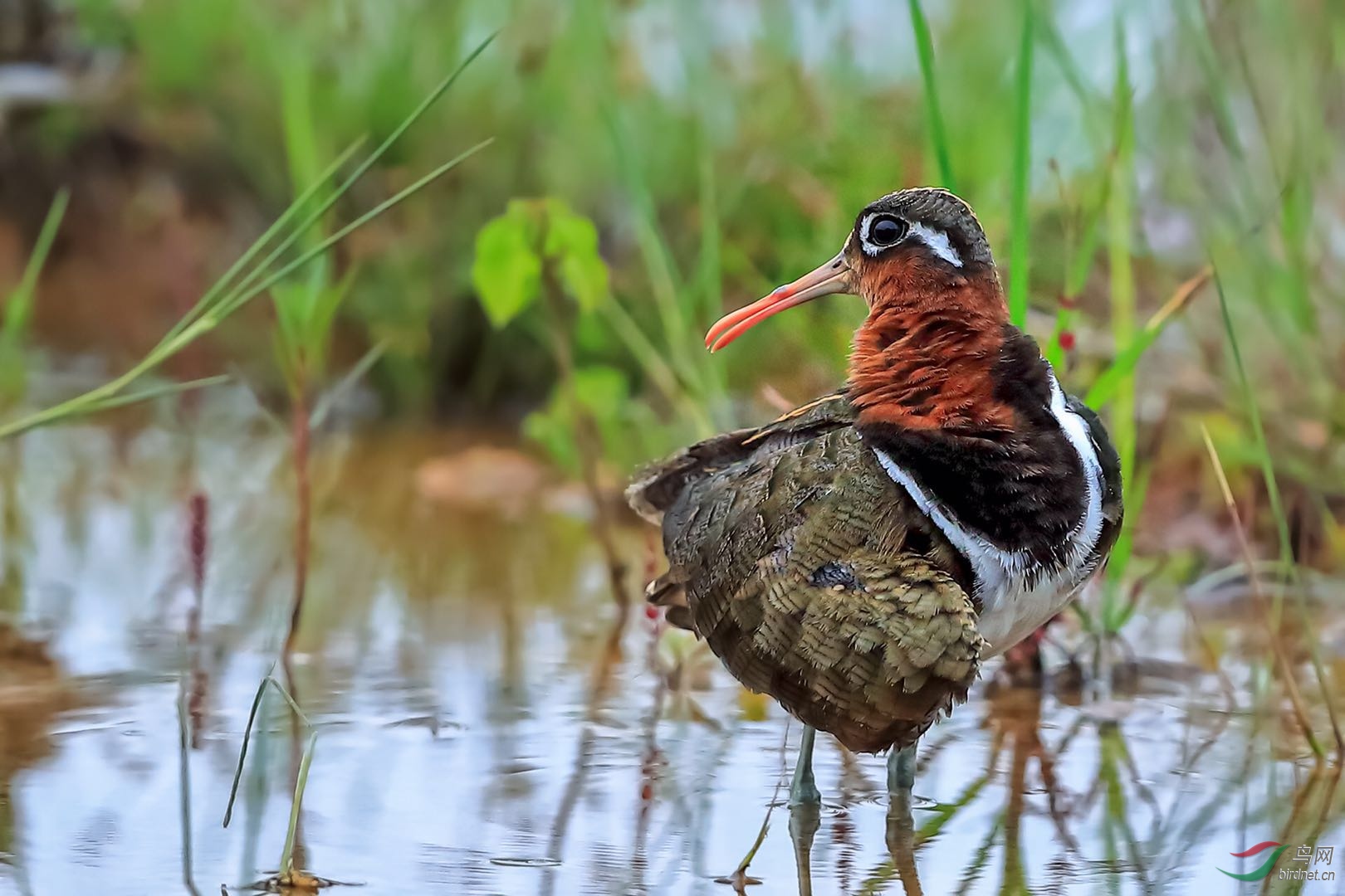 _2019052715245712 (4).jpg