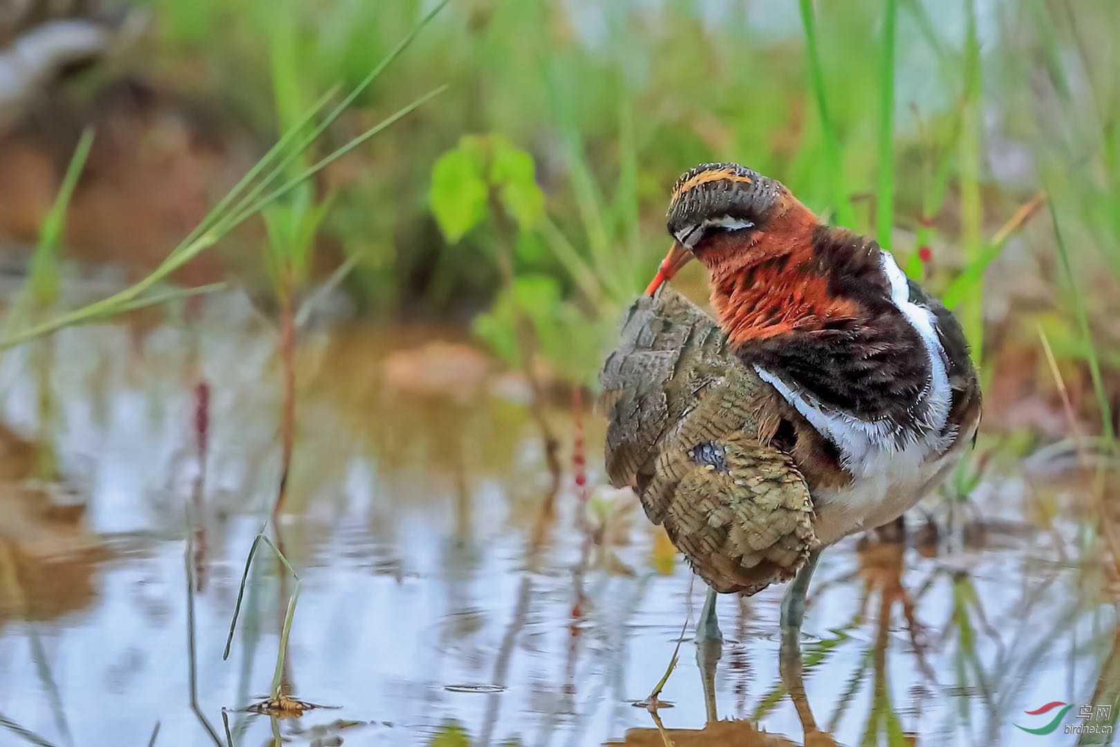 _2019052715245712 (5).jpg