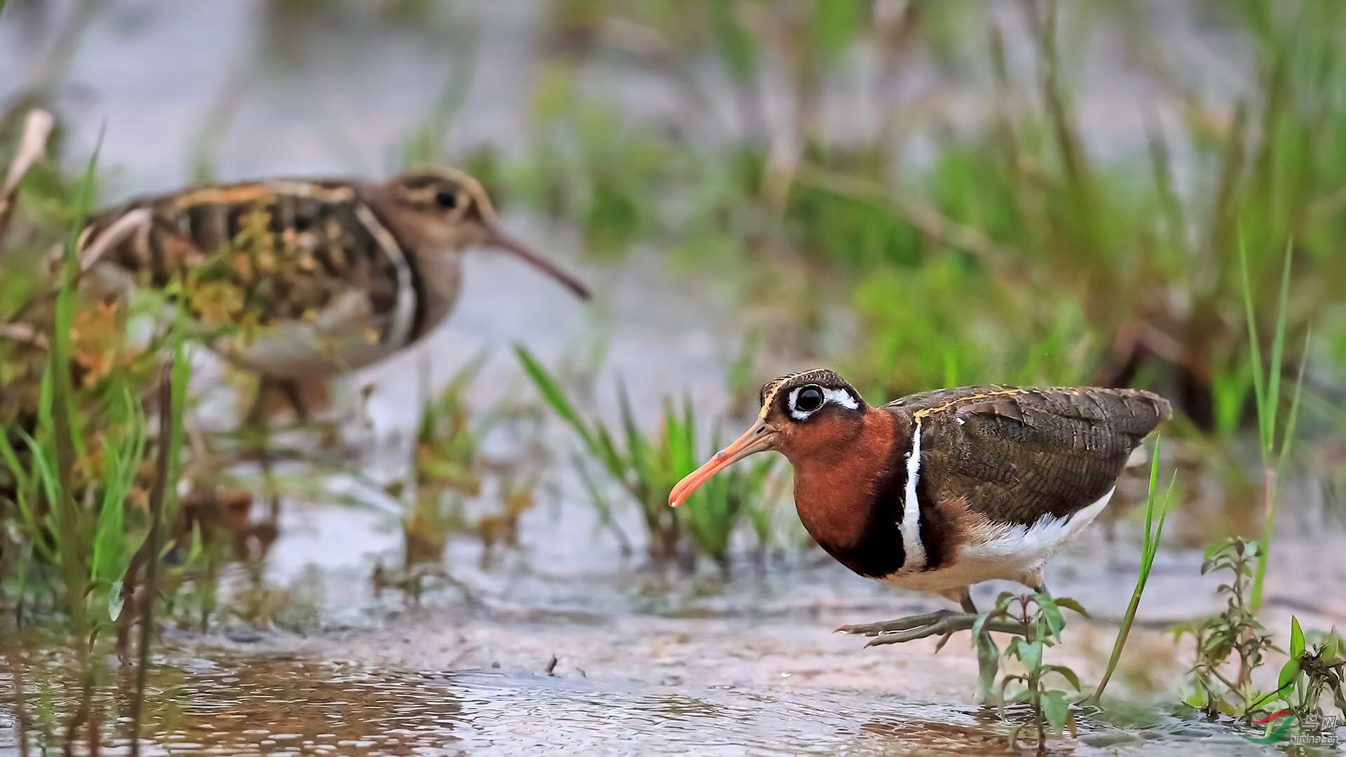 _2019052715245712 (7).jpg