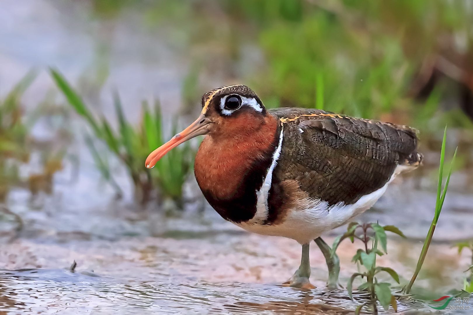 _2019052715245712 (8).jpg