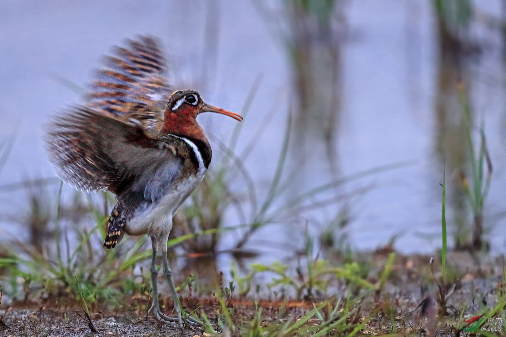 _2019052715245712 (9).jpg