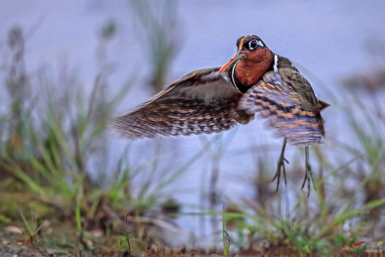 _2019052715245712 (10).jpg