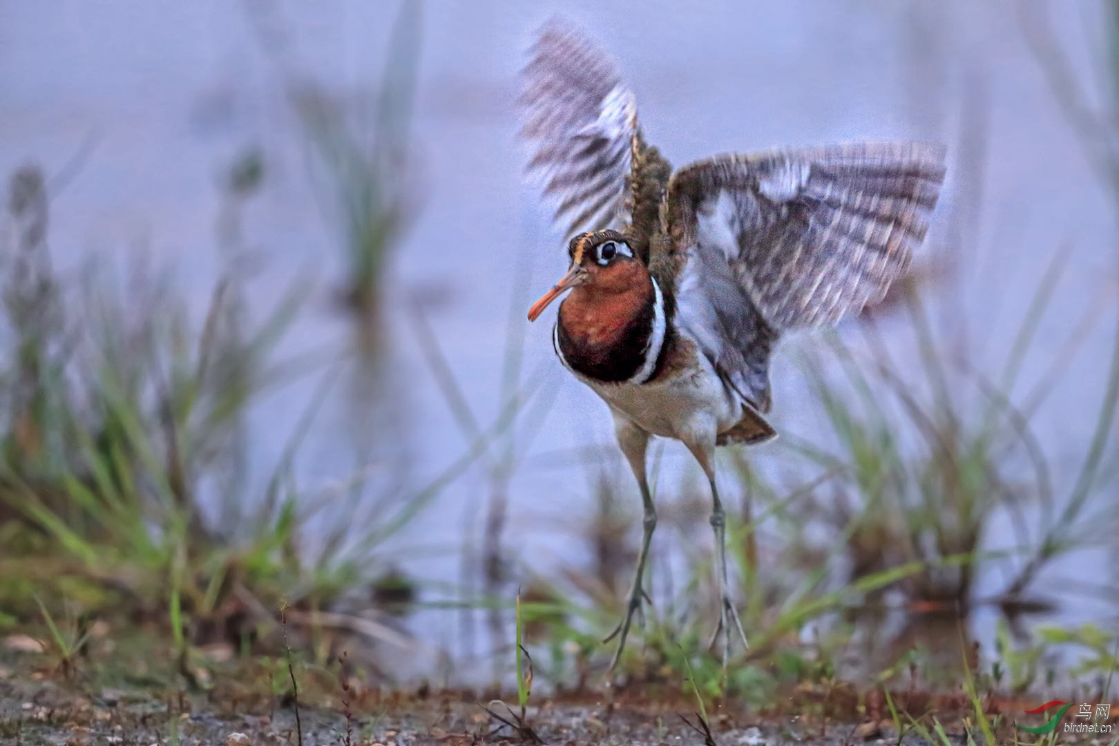 _2019052715245712 (18).jpg