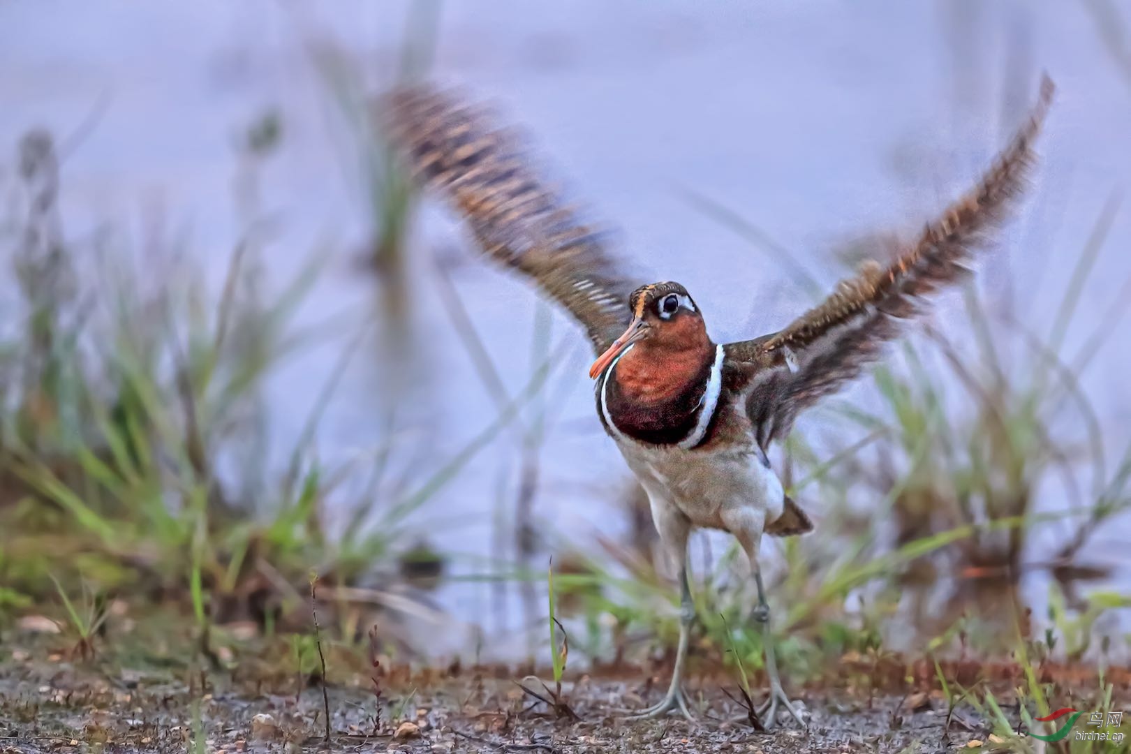 _2019052715245712 (19).jpg