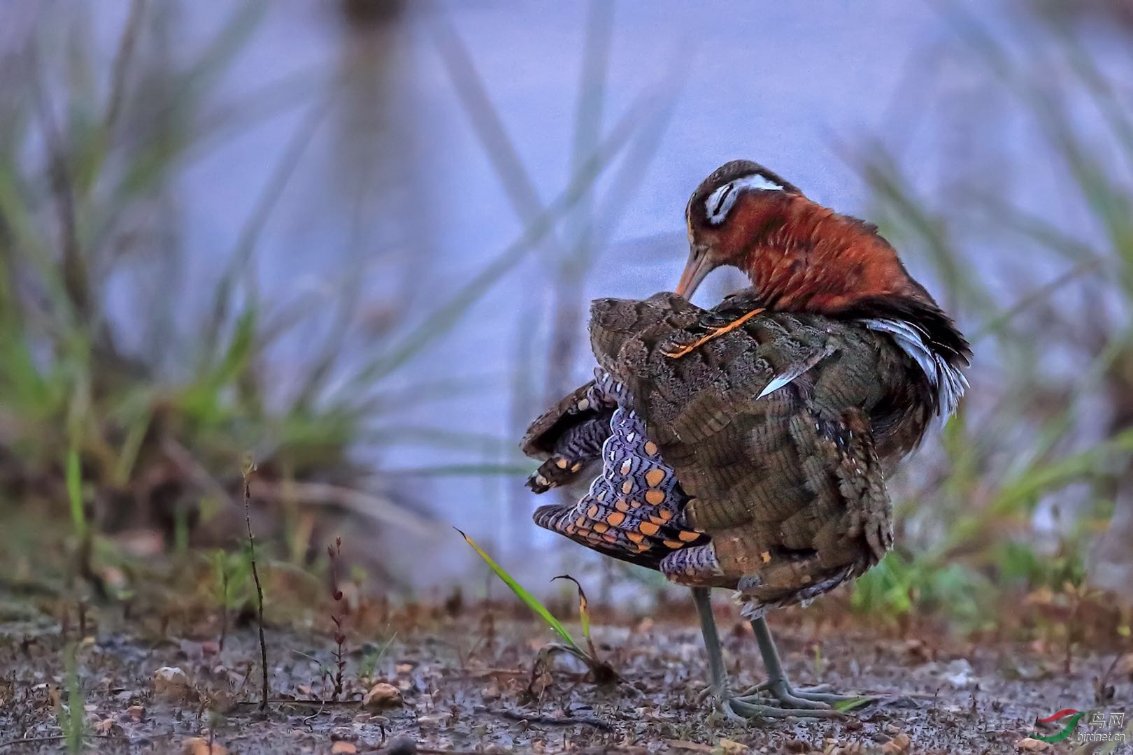 _2019052715245712 (22).jpg