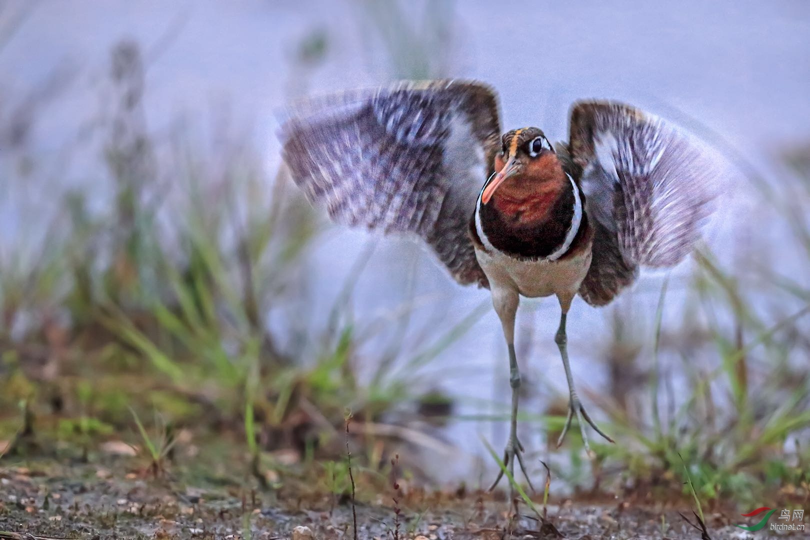 _2019052715245712 (23).jpg