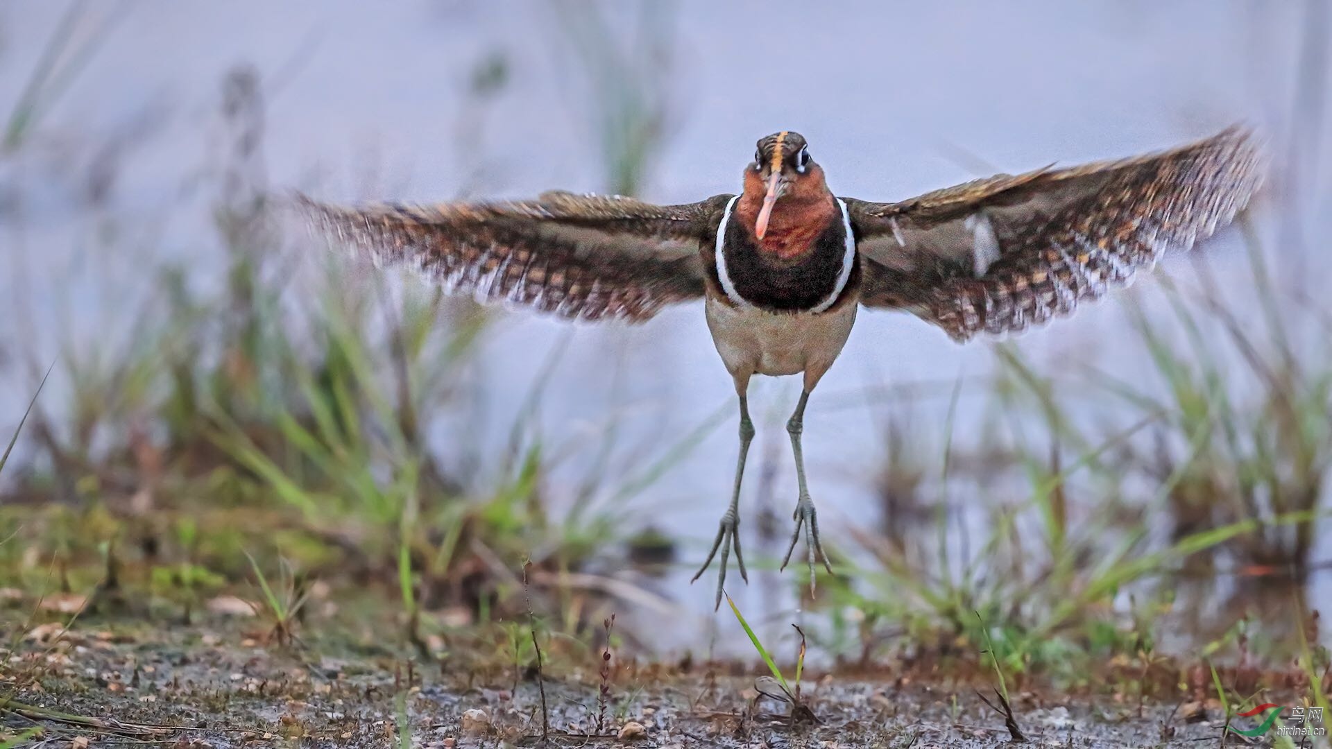 _2019052715245712 (24).jpg