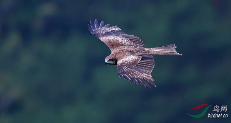 _2019052715245712 (27).jpg