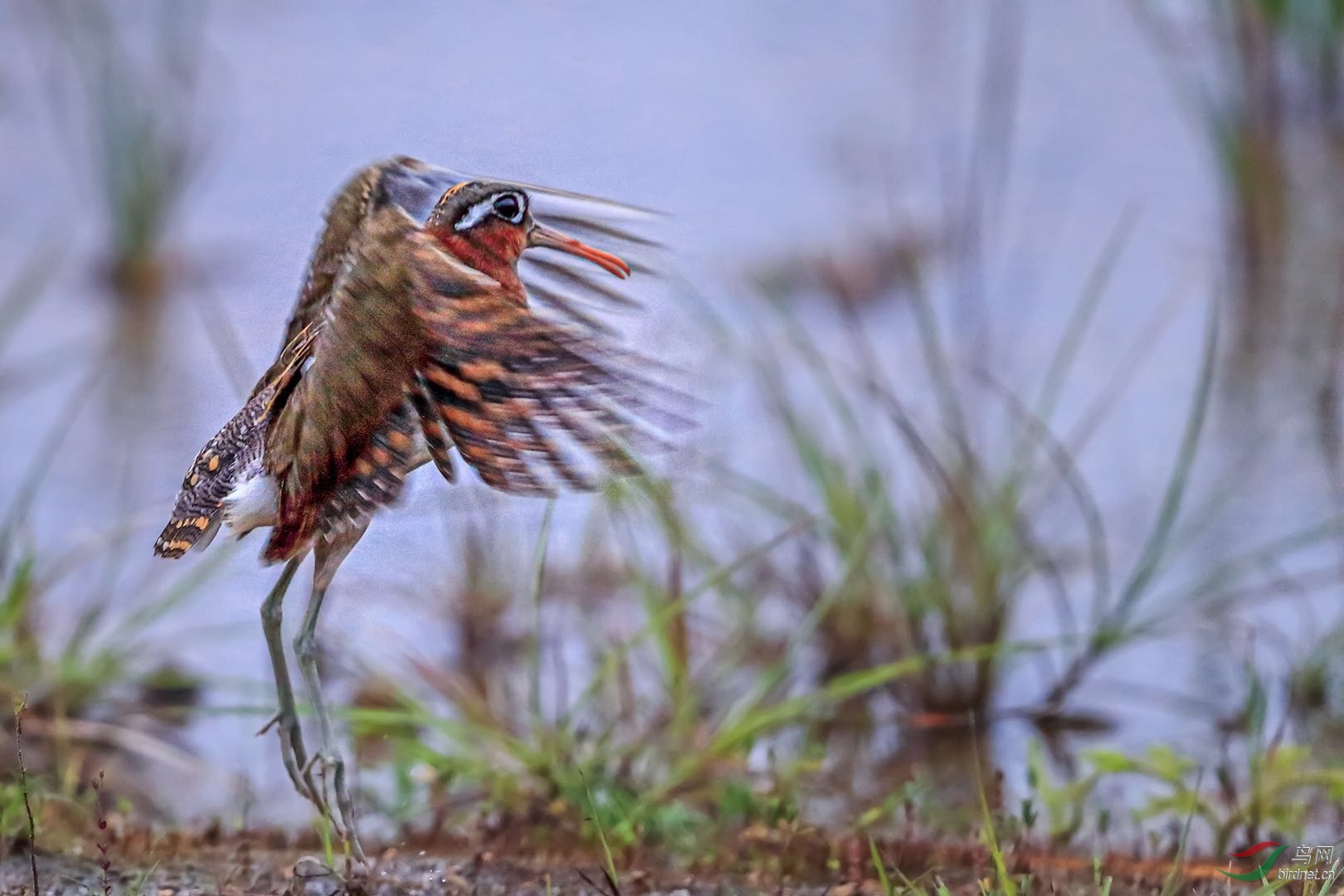 _2019052715245712 (25).jpg