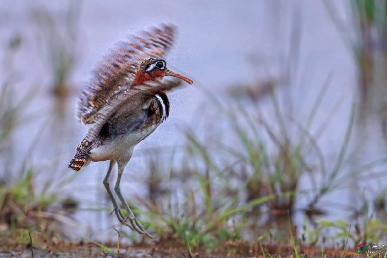 _2019052715245712 (26).jpg