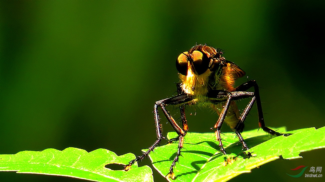 IMG_5744_���� - ����_����_conew1.jpg