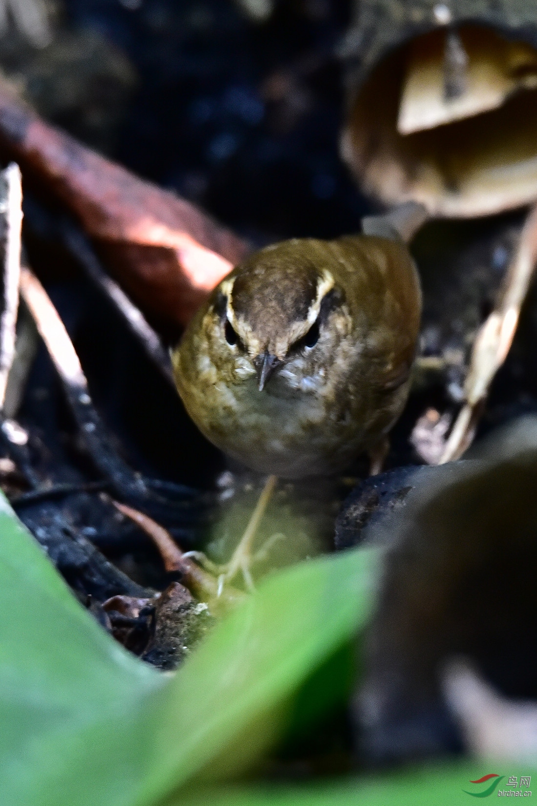 DSC_0304.JPG