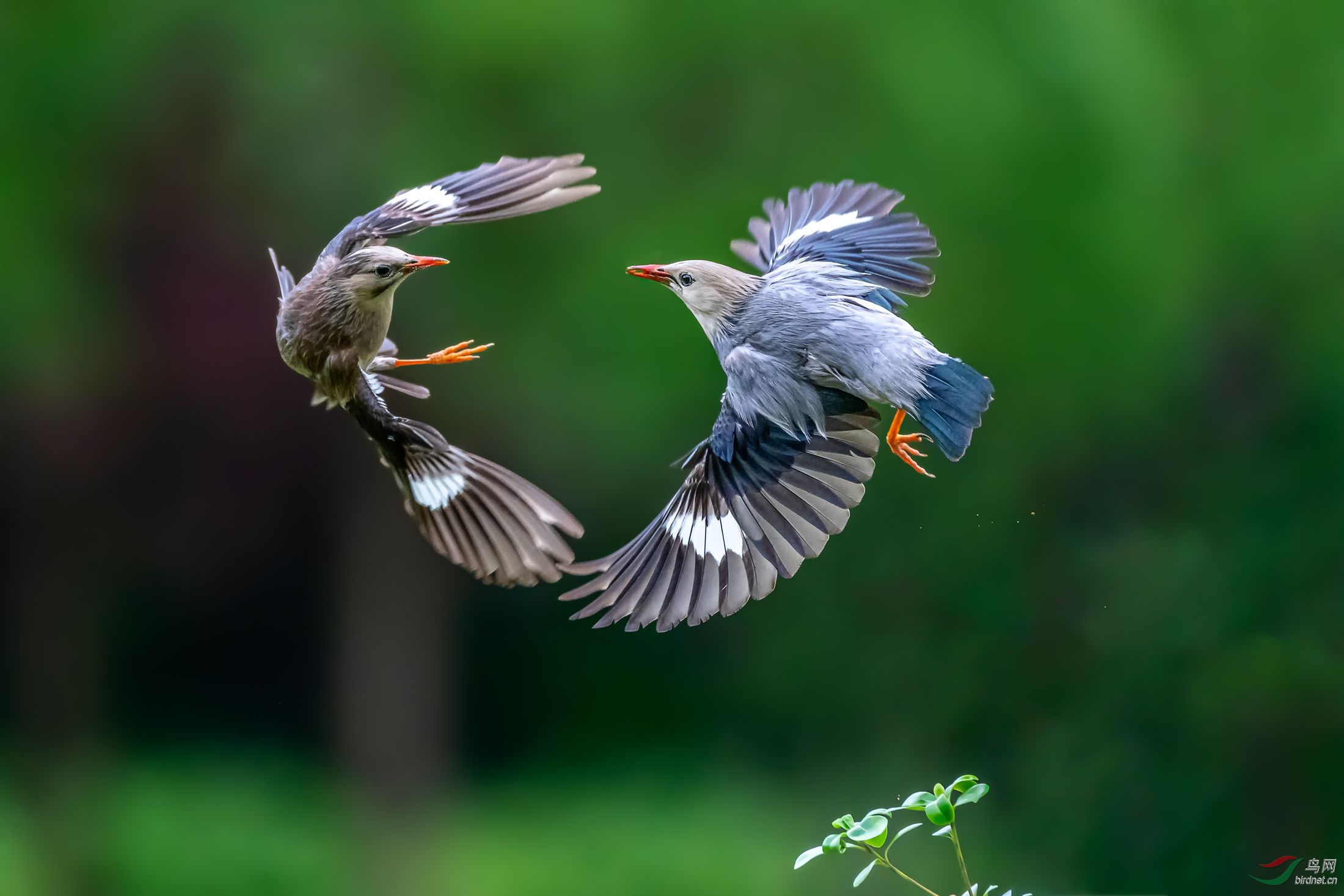 太极 荣获首页精华>
