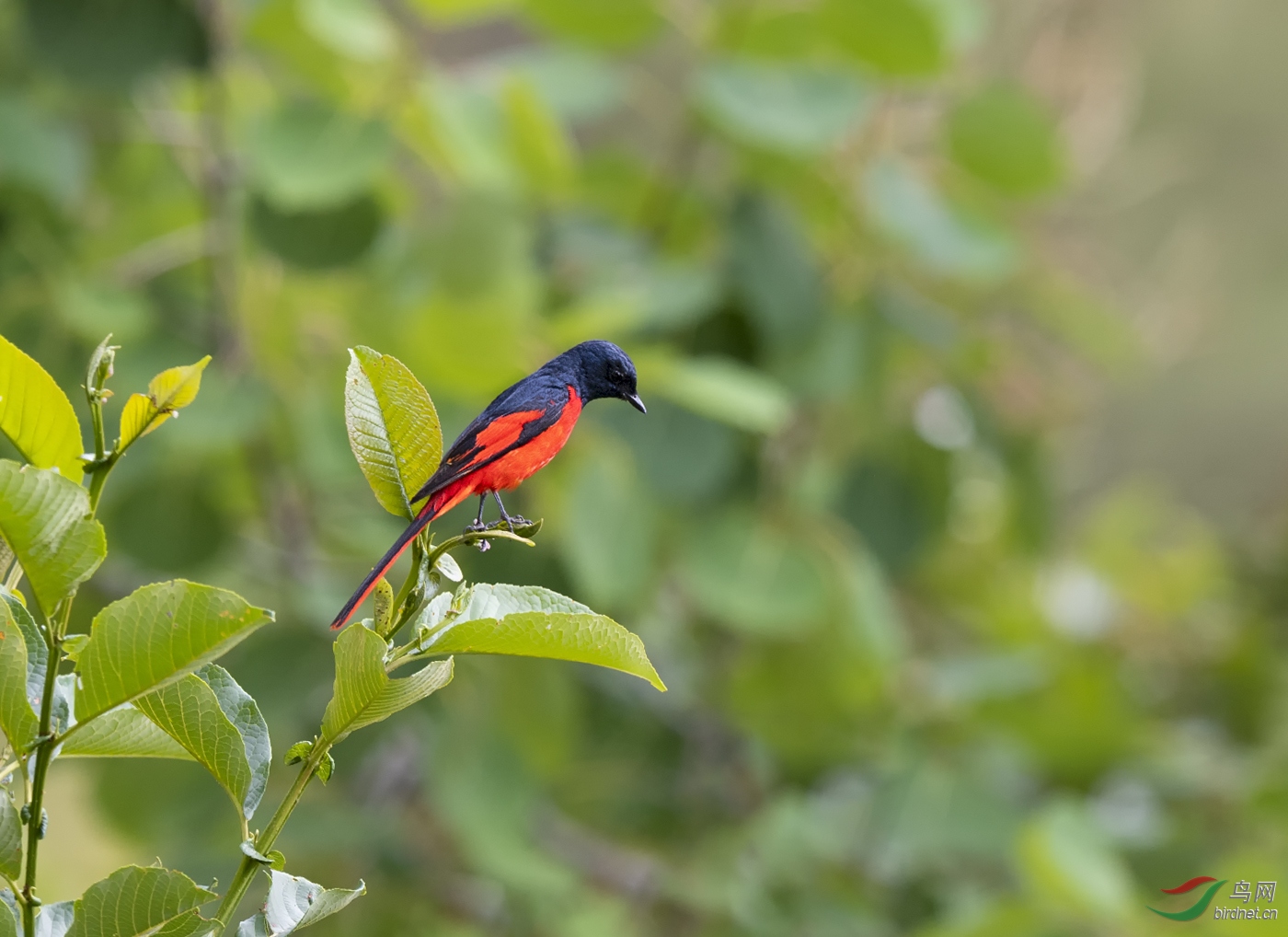 DSC_1037.jpg
