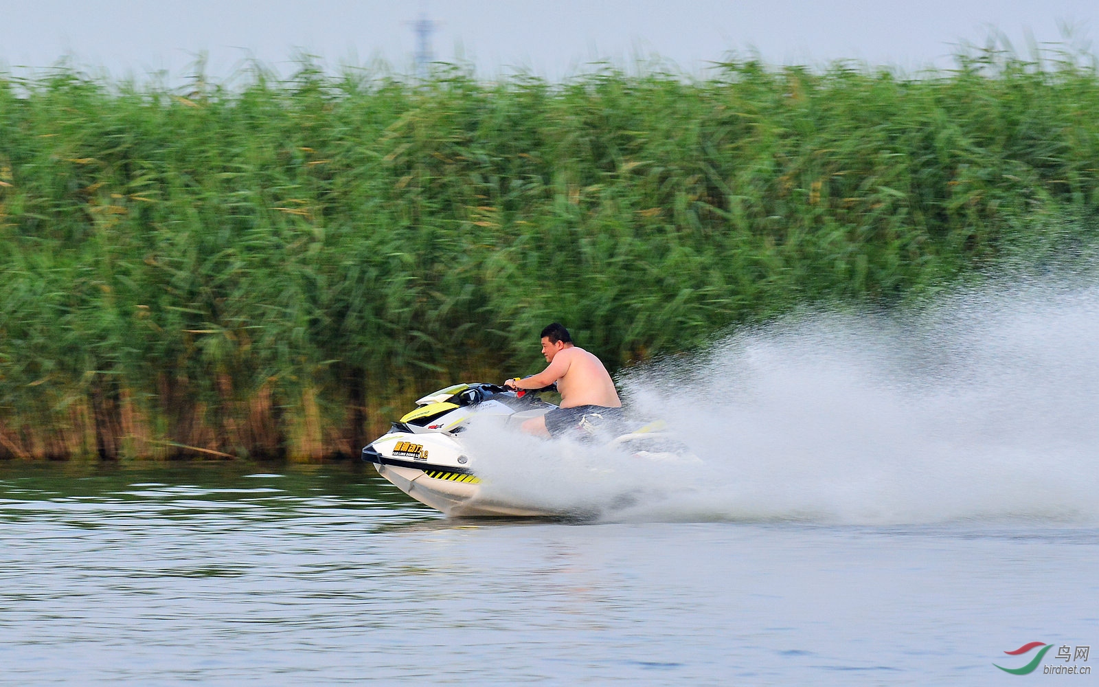 DSC_4244.JPG