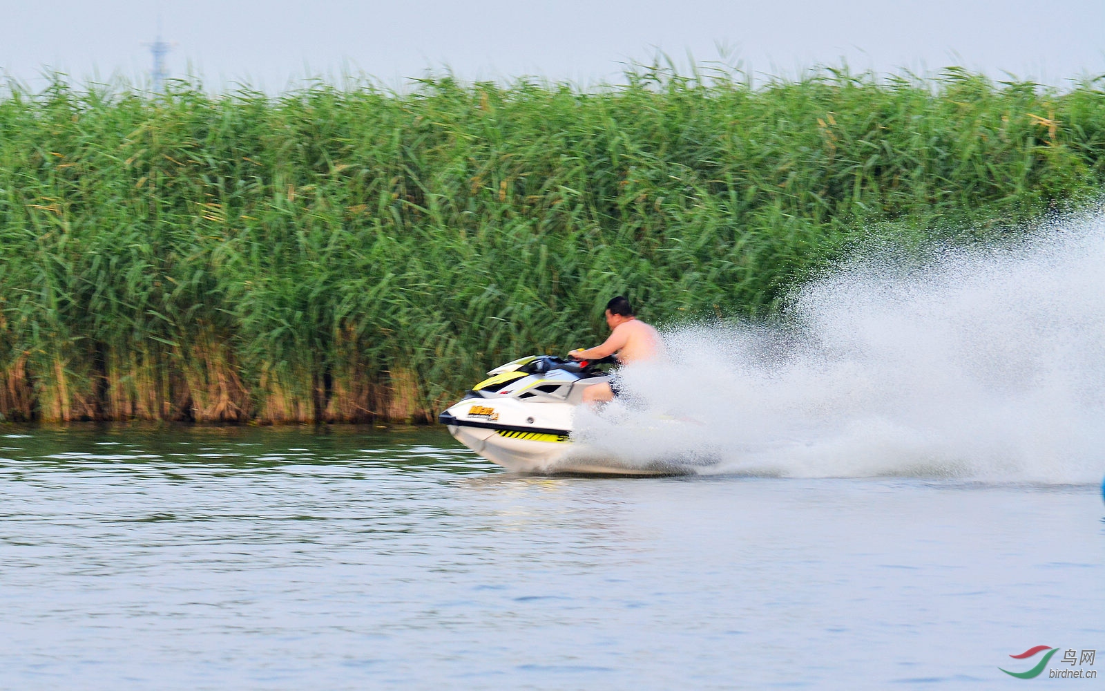 DSC_4243.JPG