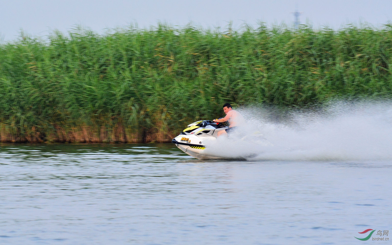 DSC_4245.JPG