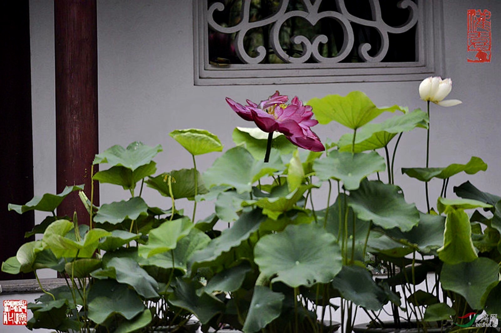124957F3-AC71-428B-A133-9060A4C0B52F.jpeg